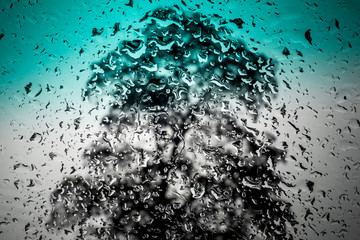 rain drops on car windshield