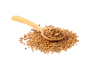 Coriander seeds in wood spoon isolated on white background