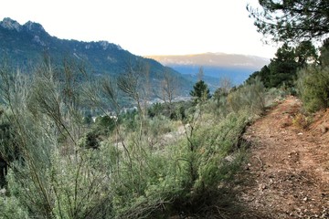 Obraz premium Mountain landscape and path between green vegetation in winter