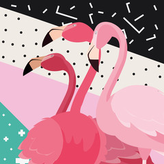 tropical flamingo design