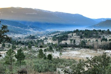 Obraz premium Mountain landscape with green vegetation in winter