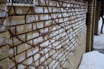 Fototapeta premium fence in snow