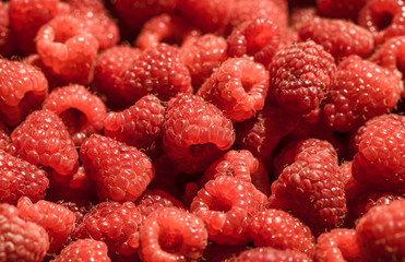 Clsoe up of raspberry