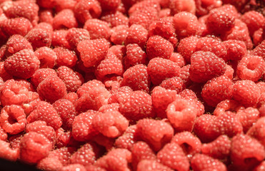 raspberry background