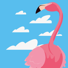 cute flamingo sky