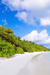 Fototapeta premium Tropical island with pristine beach and calm sea water