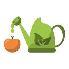 water can and orange fruit