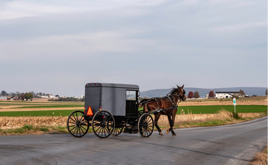 Fototapeta na wymiar Amish Horse and Buggy 12