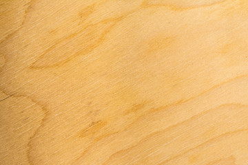 Real natural birch plywood. High-detailed wood texture.