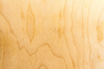 Real natural birch plywood. High-detailed wood texture.