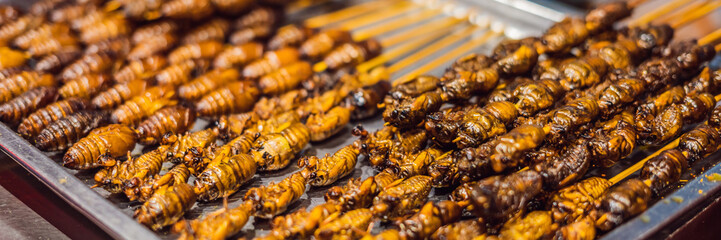Grill and fried silkworm pupae on stick from Wangfujing street at Beijing, China BANNER, LONG FORMAT
