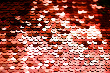 Background of beautiful coral seals. Fashionable color in 2019. The decor. A heart.