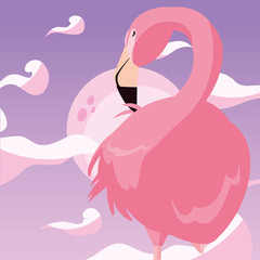 flamingo bird moon background