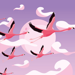 cute flamingos flying