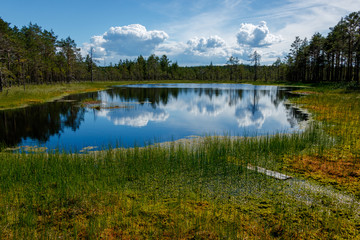 The blue Viru raba swamp lake, Lahemaa Nationa Park in Estonia.