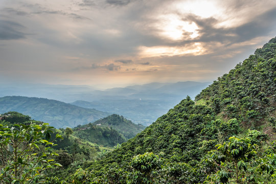 Landscape Of The Mountains In The Coffee Region Of Colombia