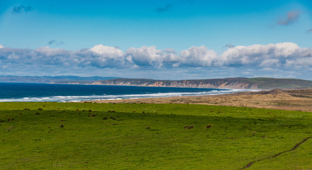 Point Reyes National Park on a Cold February day with clouds in the blue sky
