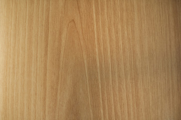 Wooden texture