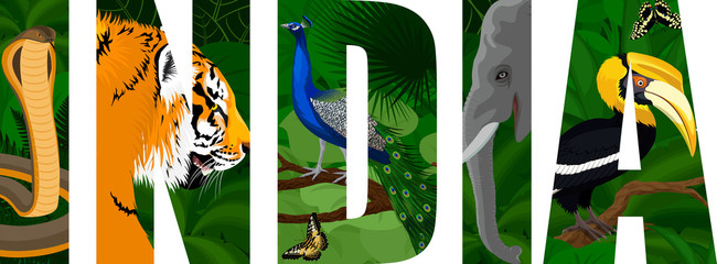 vector India illustration with male peacock peafowl, tiger, elephant, cobra snake and great hornbill