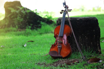 violin on green background