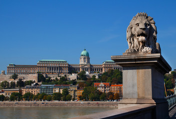 Lion sculptures of the Chain Bridge with the view of Parliament building and river in Budapest, Hungary