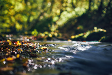Long exposure of a river creek with a small waterfall. Sunset and strong detail bokeh view. blue calm warm water - obrazy, fototapety, plakaty