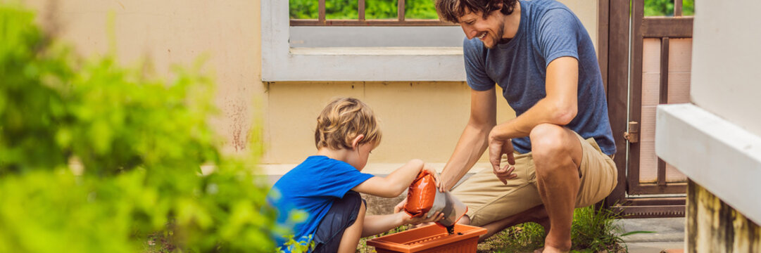Father and son gardening in the garden near the house BANNER, LONG FORMAT - Powered by Adobe