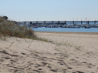 dans les dunes 