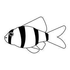 Fish sea animal cartoon in black and white