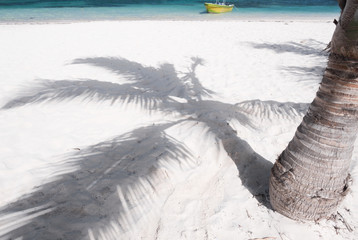 Coconut palm tree prop shadow on white sand on tropical beach