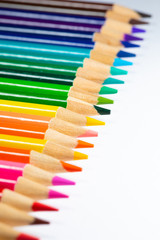 Colored sharpener pencils. Macro shot of many color pencils. 