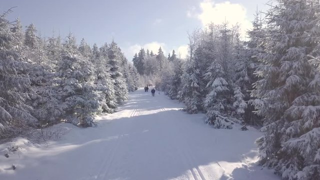 Beautiful Sunny Aerial View Winter Ski Runners Forest Vogelsberg Germany