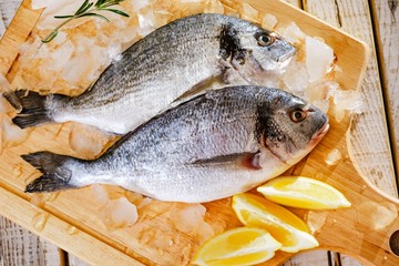 Fish seafood dorado, raw food,  freshness.Fish seafood dorado raw with ice,  background.