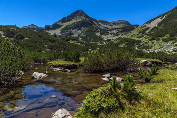 Naklejka na ściany i meble Summer landscape with Valyavitsa river and Valyavishki chukar peak, Pirin Mountain, Bulgaria