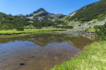 Fototapeta na wymiar Summer landscape with Valyavitsa river and Valyavishki chukar peak, Pirin Mountain, Bulgaria
