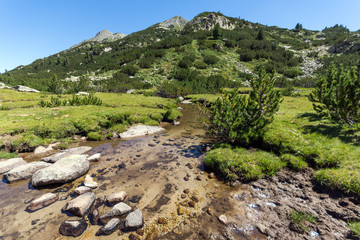 Summer landscape with Valyavitsa river and Valyavishki chukar peak, Pirin Mountain, Bulgaria