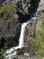 Waterfall plan with a tree / cascade avec un mélèze 