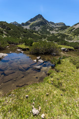 Fototapeta na wymiar Summer landscape with Valyavitsa river and Valyavishki chukar peak, Pirin Mountain, Bulgaria
