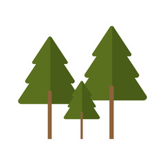 tree pines isolated nature