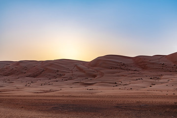Fototapeta na wymiar Wahiba Sands in Oman at early morning. It is known as Sharqiya Sands or Ramlat al-Wahiba.
