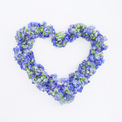 Heart symbol with blue hydrangea flowers on white background. Valentines day. Flat lay, top view.