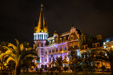 Fototapeta na wymiar Night view of illuminated Batumi Astronomical Clock Tower building with palm tree