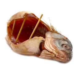 dried fish for food on a white background