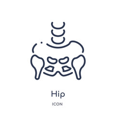 hip icon from people outline collection. Thin line hip icon isolated on white background.