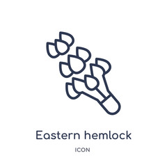 eastern hemlock tree icon from nature outline collection. Thin line eastern hemlock tree icon isolated on white background.