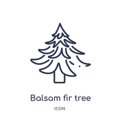 balsam fir tree icon from nature outline collection. Thin line balsam fir tree icon isolated on white background. - obrazy, fototapety, plakaty