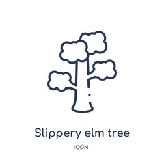 slippery elm tree icon from nature outline collection. Thin line slippery elm tree icon isolated on white background.