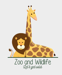 lion and giraffe animals in the safari reserve