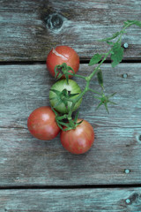 cherry tomatoes on a wooden surface