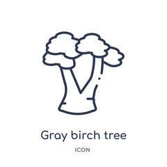 gray birch tree icon from nature outline collection. Thin line gray birch tree icon isolated on white background.